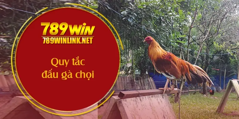 Quy tắc đấu gà chọi